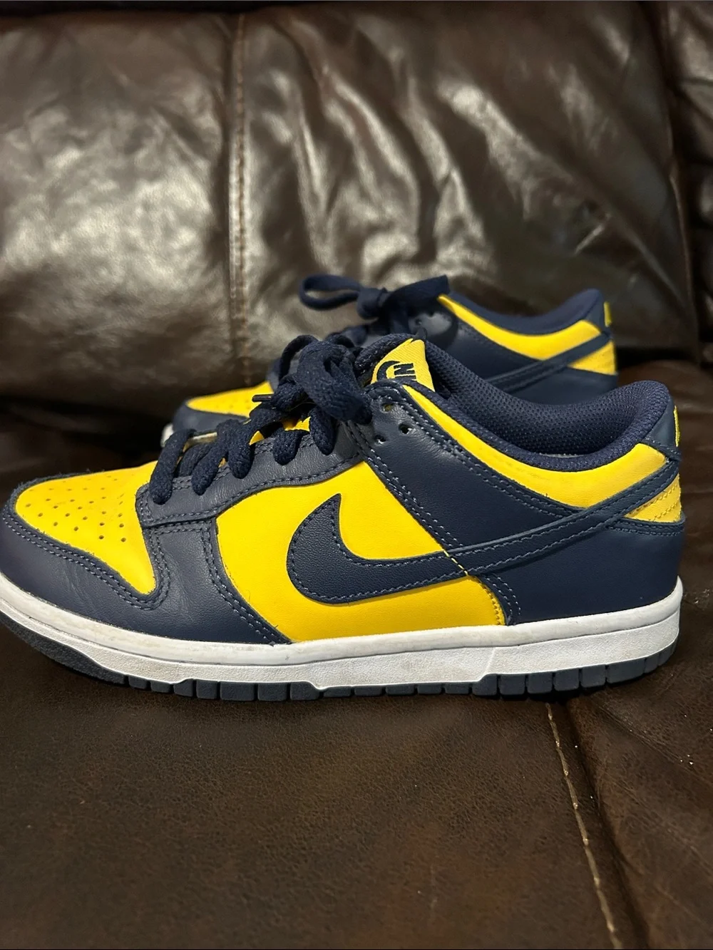 Nike Kids Low Dunk Sneakers in Yellow and Navy Blue